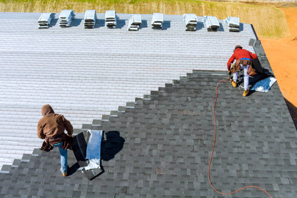 Best Storm Damage Roof Repair  in Scottsboro, AL
